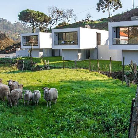 Viana Do Castelo - Amonde Village - Casa L - Disfrute Da Natureza Bagian luar foto
