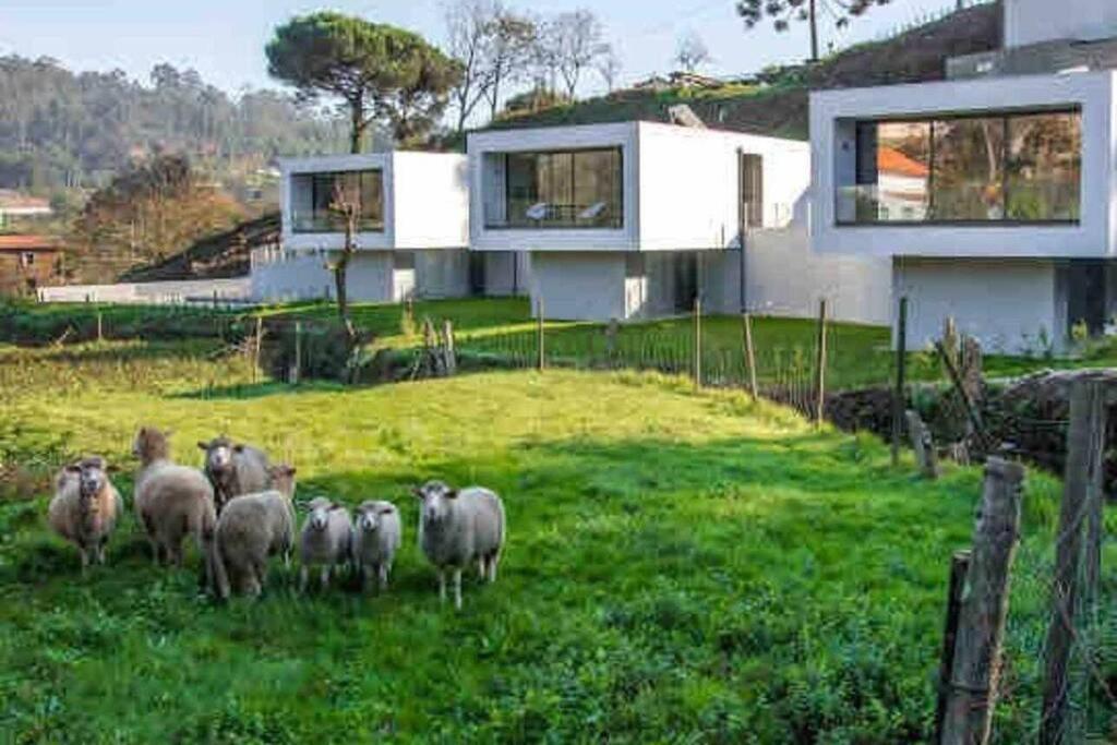 Viana Do Castelo - Amonde Village - Casa L - Disfrute Da Natureza Bagian luar foto