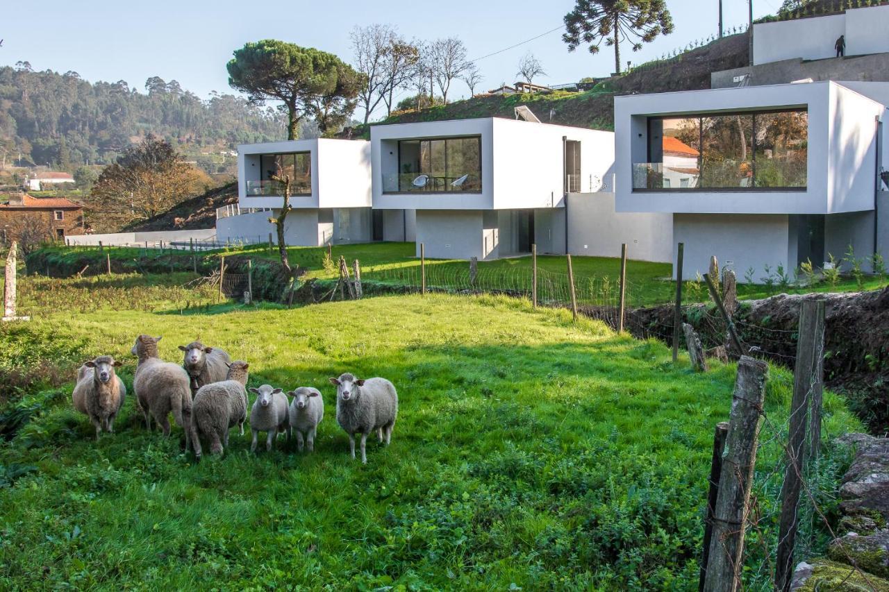 Viana Do Castelo - Amonde Village - Casa L - Disfrute Da Natureza Bagian luar foto